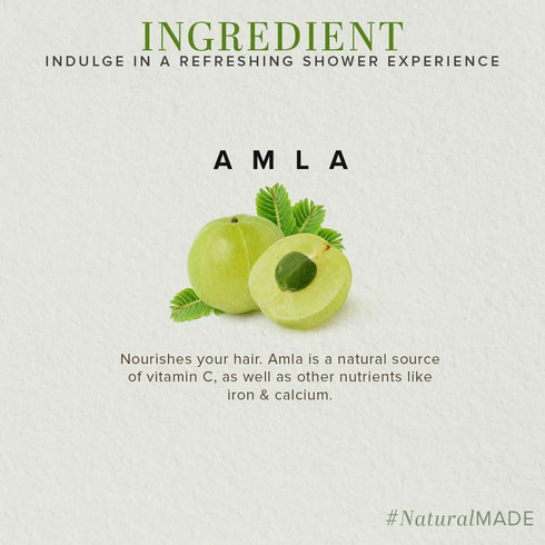 Khadi Naturals Amla Powder